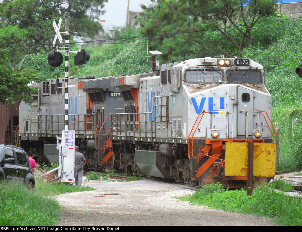 VLI 6175